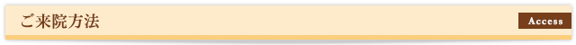 ご来院方法